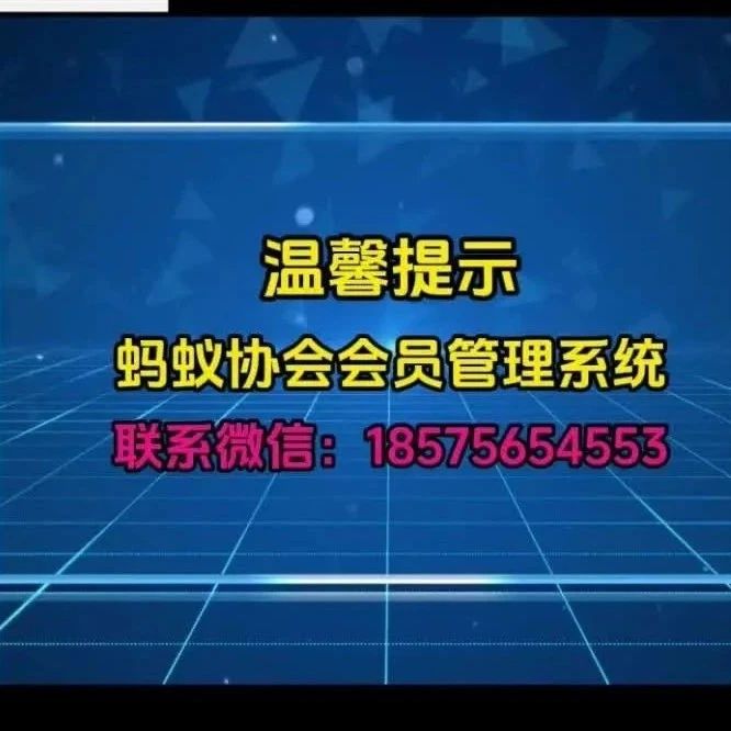 蚂蚁协会会员管理系统后台 — 新闻管理功能及资料下载功能介绍。